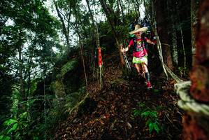 BIB: 
                            <button type="button" onclick="openModal(26198229)" class="btn btn-primary btn-sm float-right btn-popup" data-toggle="modal" data-target=".modal-high-quality">
                        <i class="fas fa-shopping-cart"></i> Add to Cart
                    </button>
                                            <button type="button" onclick="isThisMe(26198229, true)" class="btn btn-success btn-sm float-right btn-popup btn-isme hidden" data-toggle="tooltip" data-placement="bottom" title="นี่คือรูปของคุณใช่ไหม คลิกที่นี่เพื่อเอาเข้าอัลบั้ม">
                        <i class="fas fa-plus"></i> Add to album
                    </button>
                    <button type="button" onclick="isThisMe(26198229, false)" class="btn btn-warning btn-sm float-right btn-popup btn-isnotme hidden">
                        <i class="fas fa-ban"></i> Remove from album
                    </button>